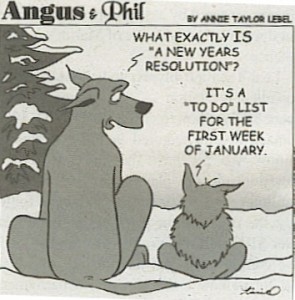 Image result for new years resolution humor