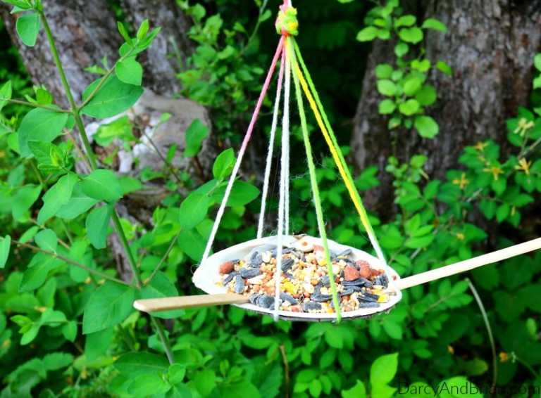 How to Make a Shell Bird Feeder Craft for Kids