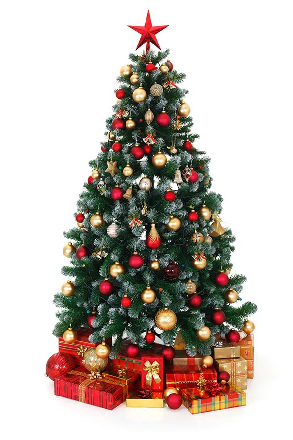 Choosing the Best Christmas Tree for Your Family