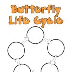 Grab this free printable butterfly life cycle worksheet and learn about how a caterpillar becomes a butterfly. Great addition to your classroom, homeschool, or hands on learning at home. It's perfect for preschoolers and kindergartners, but kids of all ages will enjoy learning about butterflies.