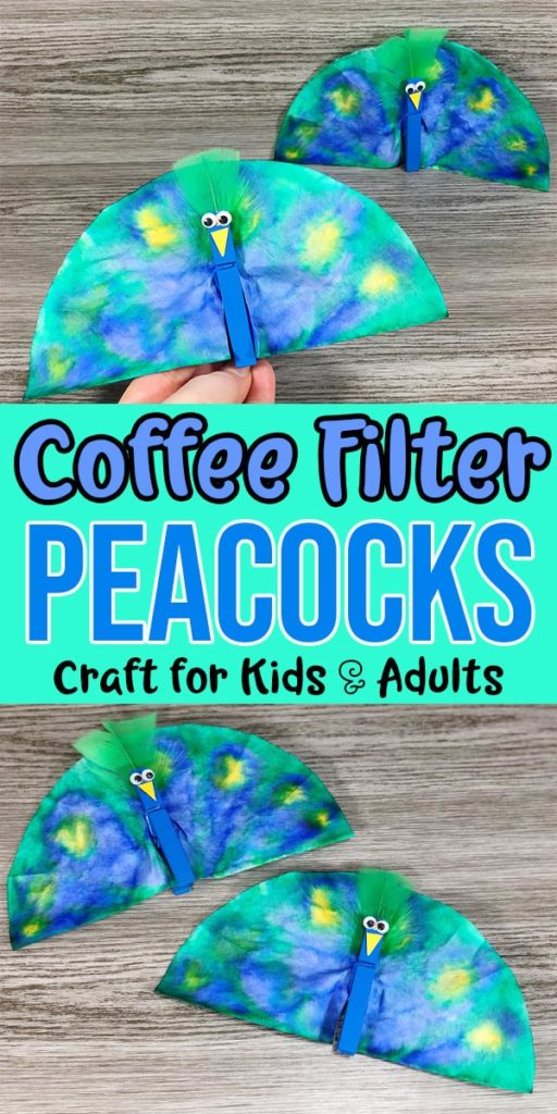 Coffee Filter Peacock Craft