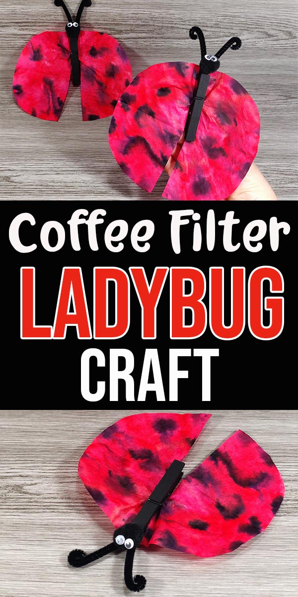 Easy Coffee Filter Ladybug Craft for Kids