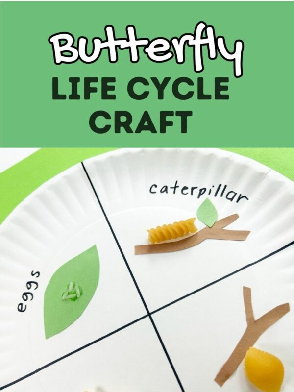 Butterfly Life Cycle Craft for Kids