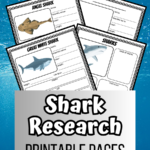 Printable Shark Research Worksheets for Kids