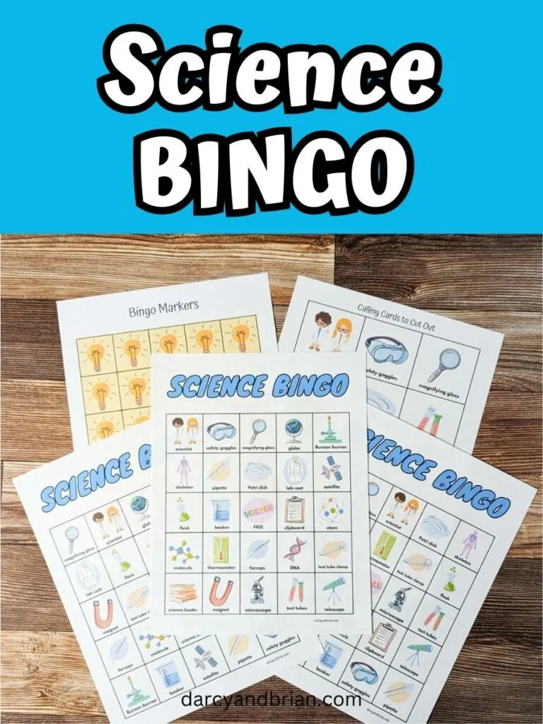 bingo cards