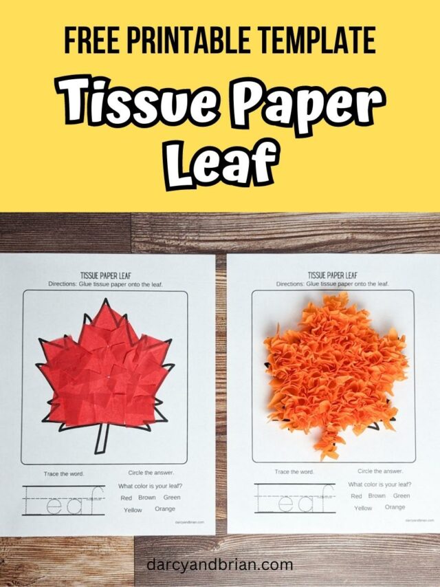 Tissue Paper Leaf Craft | Fun Preschool Fall Activity