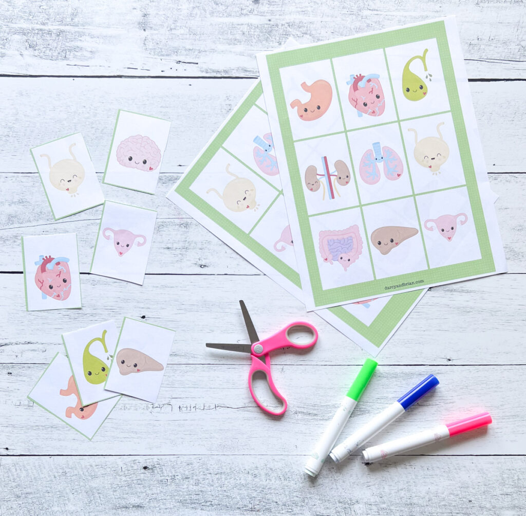 Two bingo cards with kawaii illustrations of organs. Calling cards are cut apart on the side.