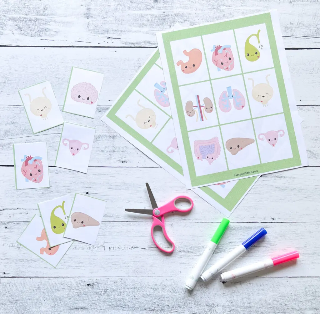 Two bingo cards with kawaii illustrations of organs. Calling cards are cut apart on the side.