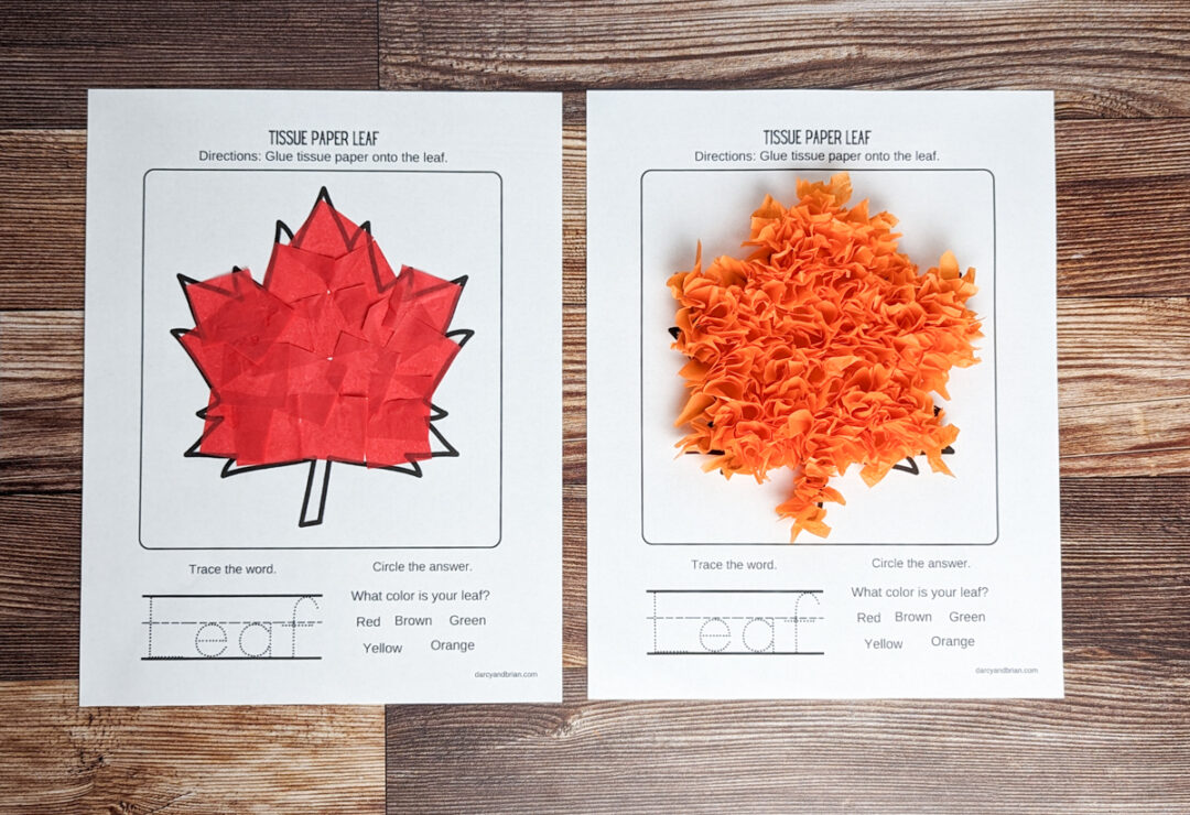 Tissue Paper Leaf Craft Fun Preschool Fall Activity