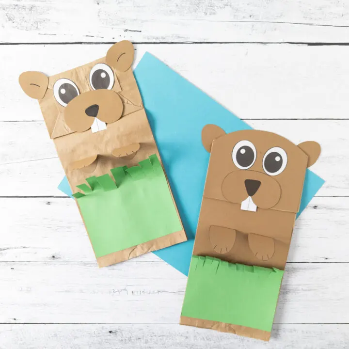 Making Paper Bag Puppets (Your Own or With a Kit) - Our Daily Craft