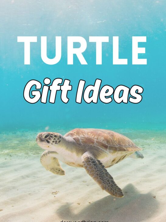 White text says Turtle Gift Ideas over a picture of a sea turtle swimming under the ocean close to the sandy floor.