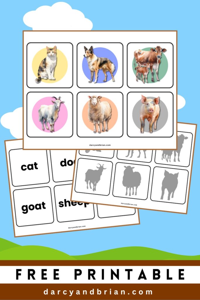 Pages with farm animal pictures, silhouettes, and names on game cards overlapping on a sky background.