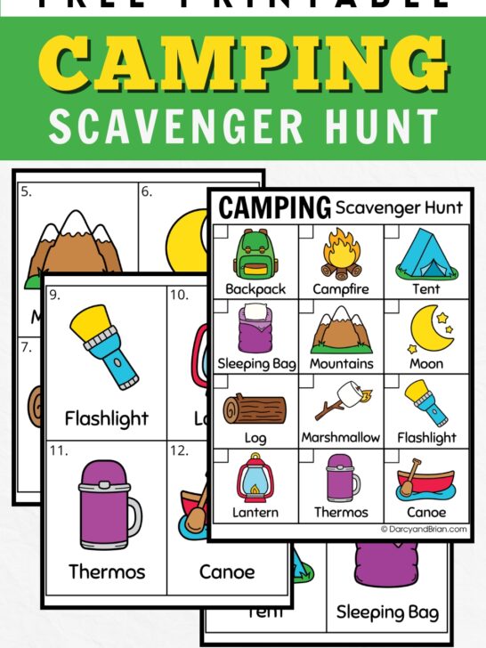 Top has text that says Free Printable Camping Scavenger Hunt on a green background. Preview of the full color scavenger hunt featuring various campsite items.