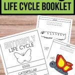 Top text on green background says Butterfly Life Cycle Booklet. Mockup shows it assembled next to a couple of single pages.