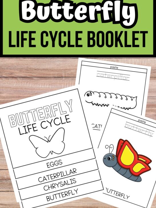 Top text on green background says Butterfly Life Cycle Booklet. Mockup shows it assembled next to a couple of single pages.