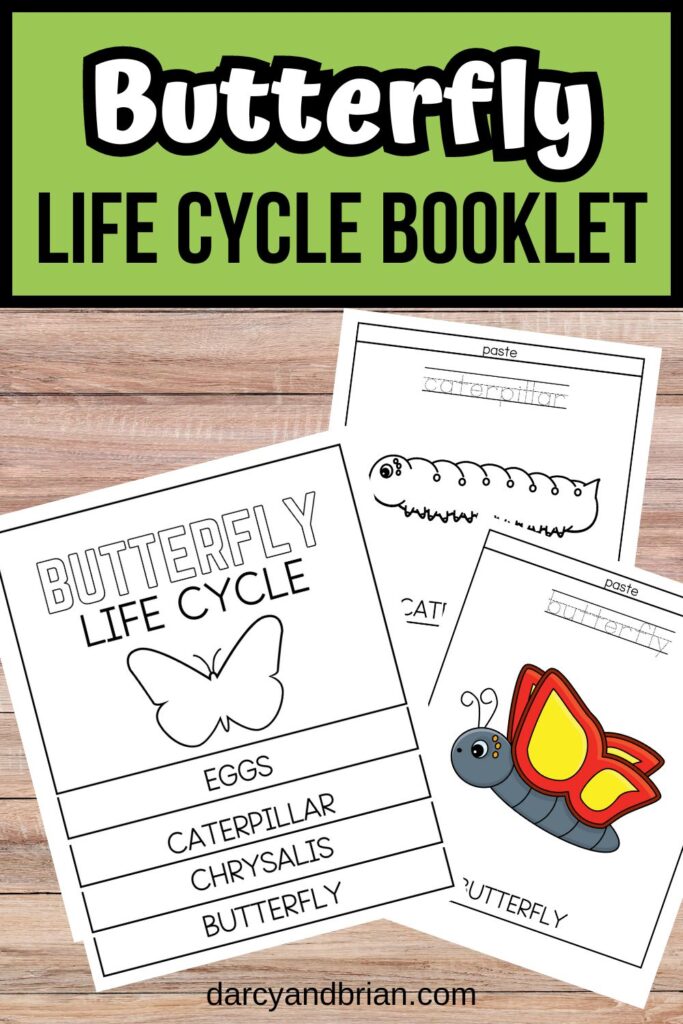 Top text on green background says Butterfly Life Cycle Booklet. Mockup shows it assembled next to a couple of single pages.