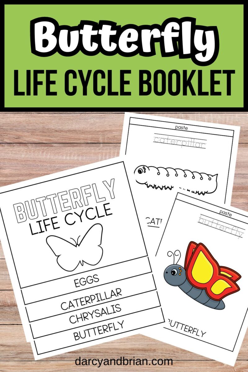 Printable Butterfly Life Cycle Booklet for Preschool Learning