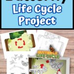 Top of image says Butterfly Life Cycle Project on light blue background. Mockup of printable pages and assembled diorama.