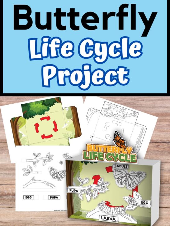 Top of image says Butterfly Life Cycle Project on light blue background. Mockup of printable pages and assembled diorama.