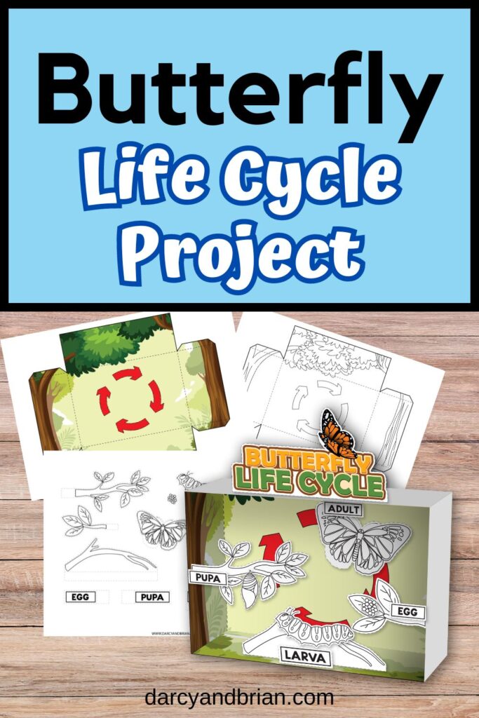 Top of image says Butterfly Life Cycle Project on light blue background. Mockup of printable pages and assembled diorama.