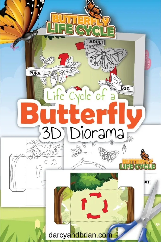 Mockup of the assembled project on the top on a background of a sky and butterfly. Text in middle says Life Cycle of Butterfly 3D Diorama. Preview of each page on the bottom.