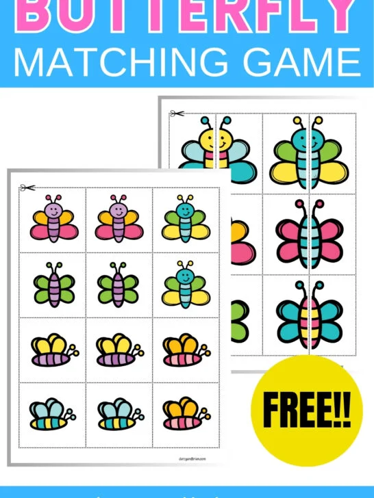 Mockup showing butterflies on a blue background. Text in the middle says Butterfly Matching Game.