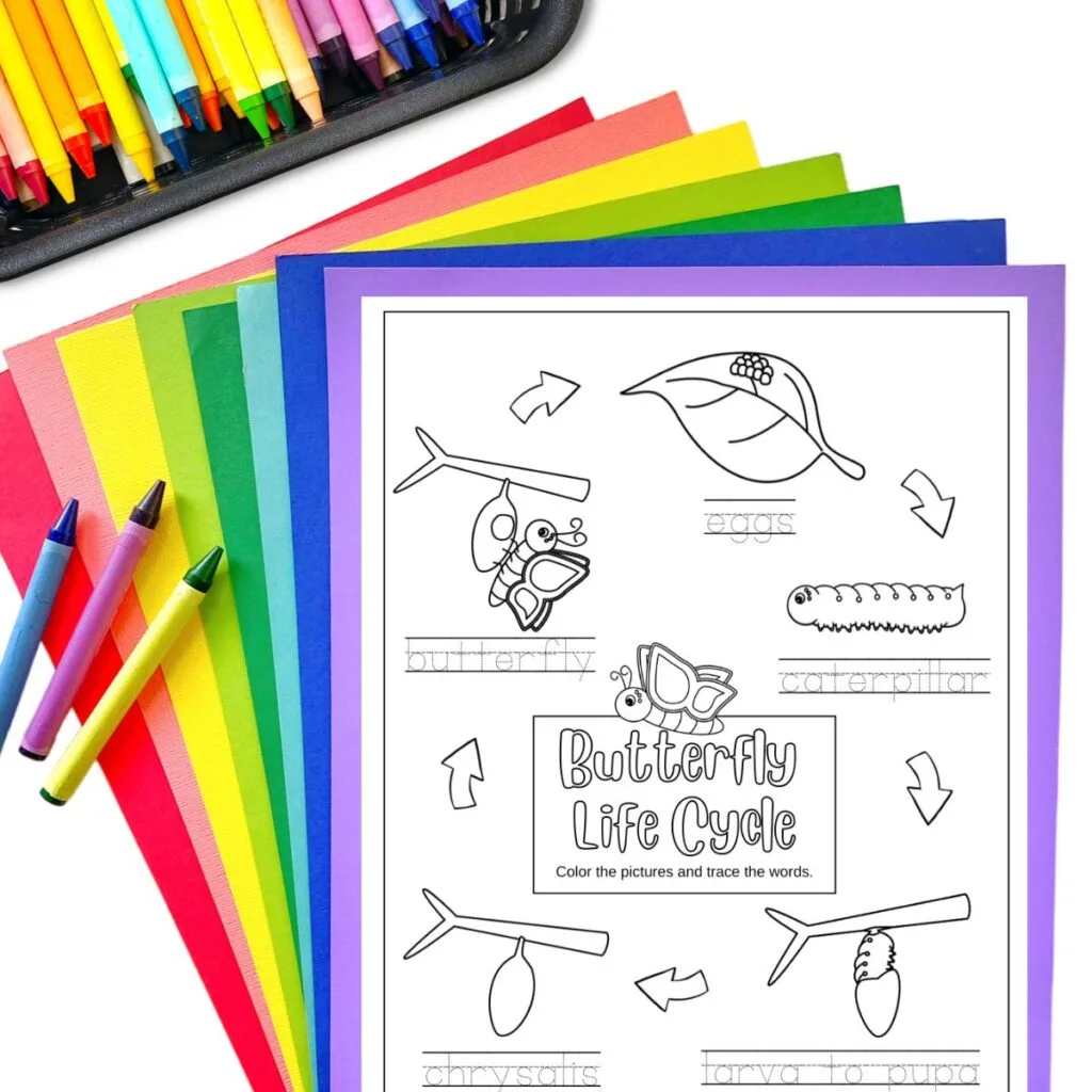 Close view of coloring page featuring stages from caterpillar to butterfly. Crayons and construction paper laying behind paper.