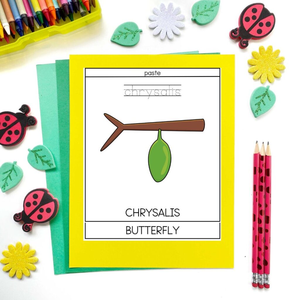 Digital mockup with chrysalis page on top of butterfly page on a stack of yellow and green folders. Pencils, crayons, and ladybug mini erasers decorate around the pages.