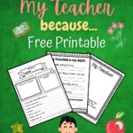 Preview of the worksheets about why kids like their teacher fanned out over a green chalkboard background.