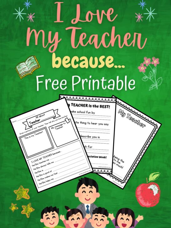 Preview of the worksheets about why kids like their teacher fanned out over a green chalkboard background.