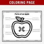 Black and white text at top on dark red background says Free Printable Parts of An Apple Coloring Page. Shows mockup of worksheet with cross section of apple with labeled areas to color in.