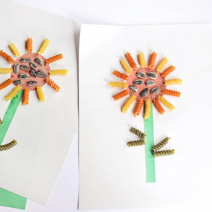 Pasta Sunflower Craft