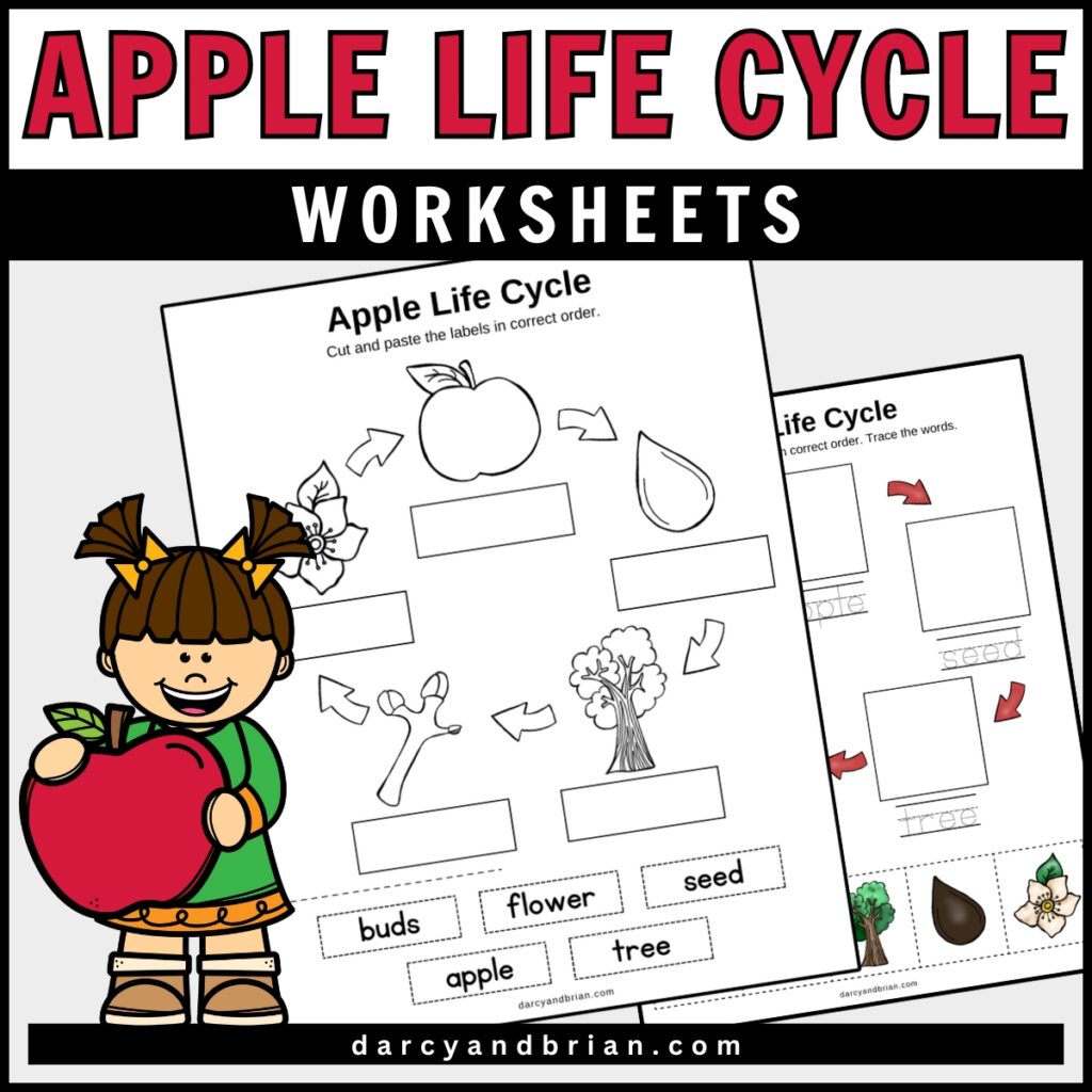 Mockup of the apple life cycle worksheets with clipart of a cute girl holding a large red apple.