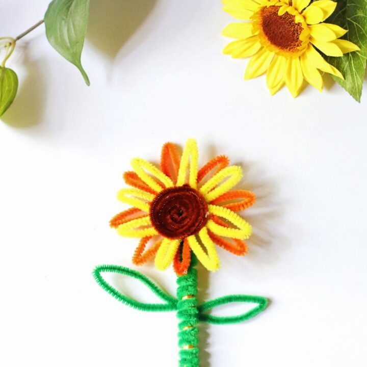 Pipe Cleaner Sunflower Craft