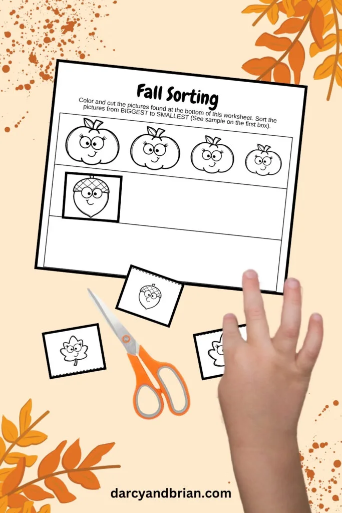 Mockup of autumn themed size sorting activity. Arranging acorns and leaves in a row according to biggest to smallest.