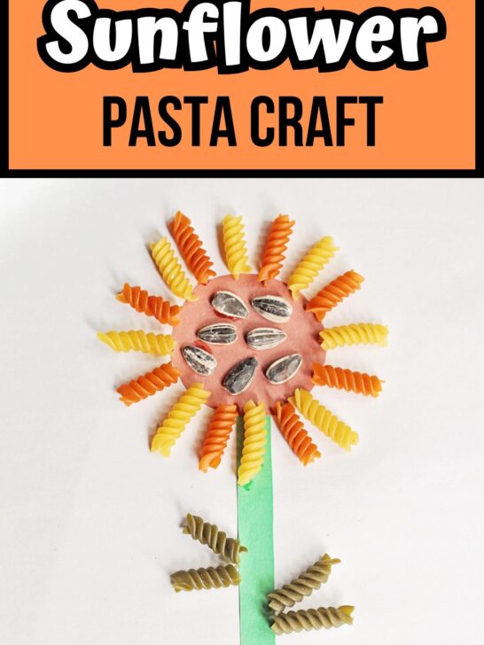 White and black text on orange background at top says Sunflower Pasta Craft. Photo of completed project using paper, noodles, and seeds.