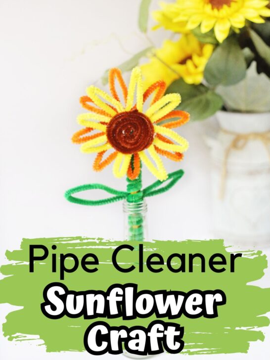 Cute sunflower made using pipe cleaners and a pencil standing up in a small vase. Decorate faux sunflowers decorate the back of the picture. Text on lower half says Pipe Cleaner Sunflower Craft on a light green splash brush stroke.