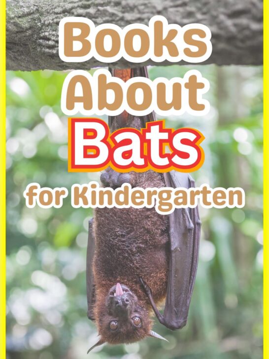 Brown and red text outlined in white says Books About Bats for Kindergarten over a photo of a fruit bat hanging upside down in a tree.