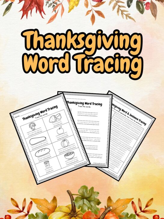 It has three pages placed in a light pink background with colorful leaves and pumpkins perfect for Thanksgiving-themed Tracing Activity.