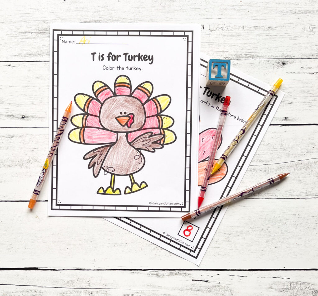 Colored in turkey on a page that says T is for Turkey. Underneath is a page for finding Tt.