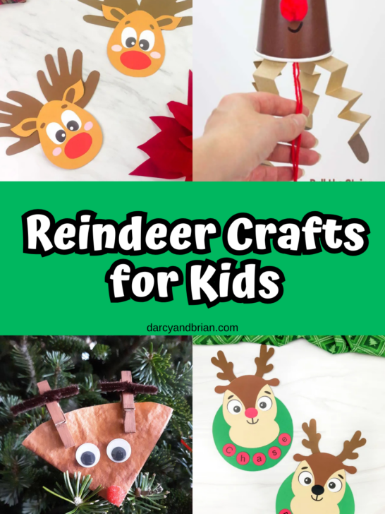 This cover page has some of the Reindeer Crafts for Kids with colorful and different crafts ideas.