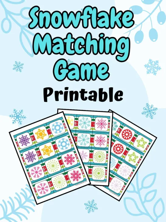 There are three pages of matching game worksheets in a snowy background.